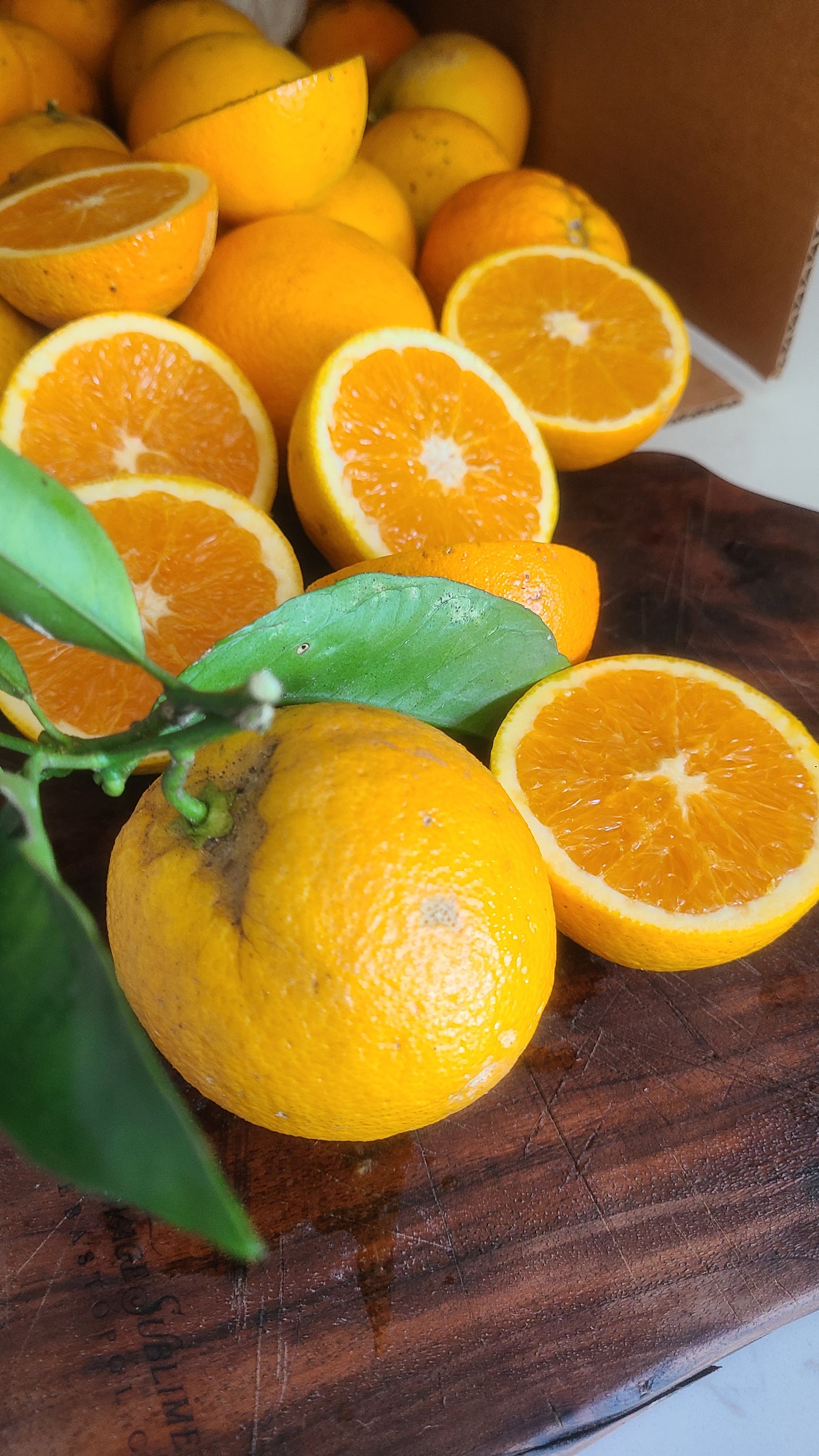 5 lb. Valencia Orange Farm Box