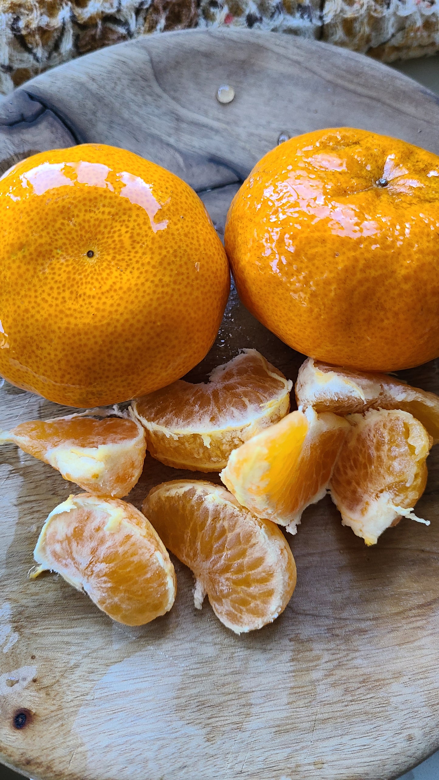 2lb. Organic Satsuma Mandarine Box