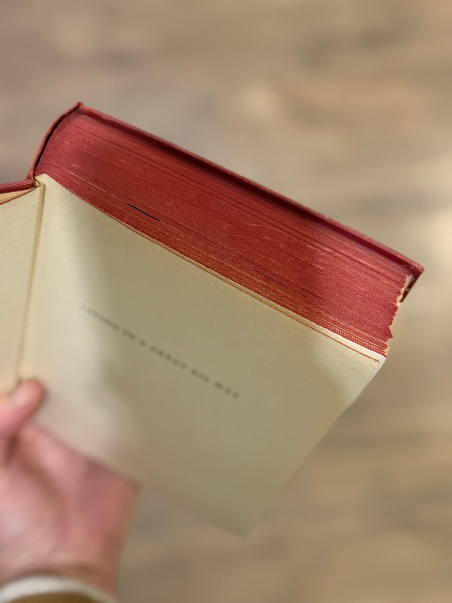 Vintage Equestrian Vignette